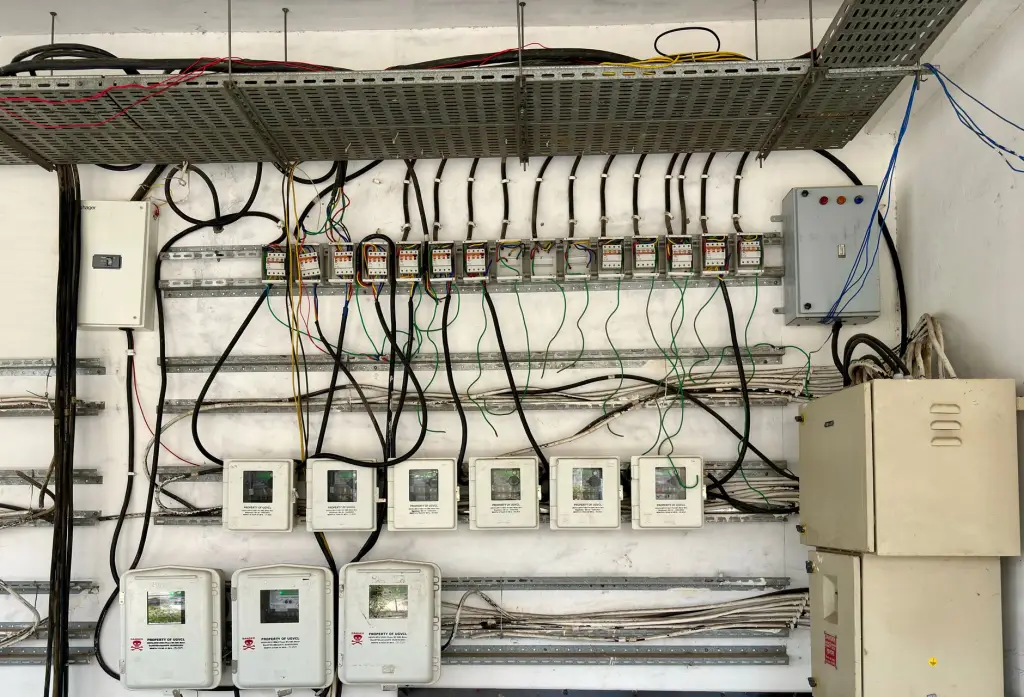 九江地区市政绿化工程苗木选配要点与质量把控
