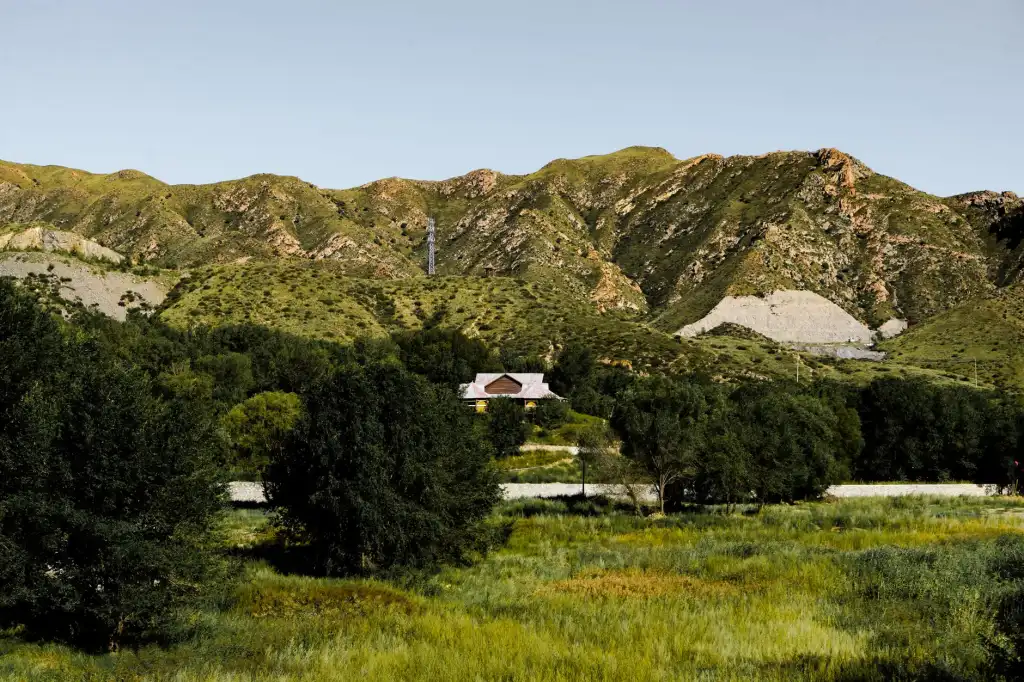 九江南方苗木种植技术要点与常见病虫害防治封面图